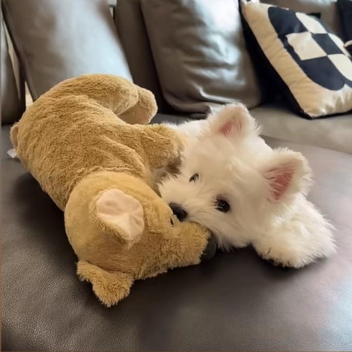 ？