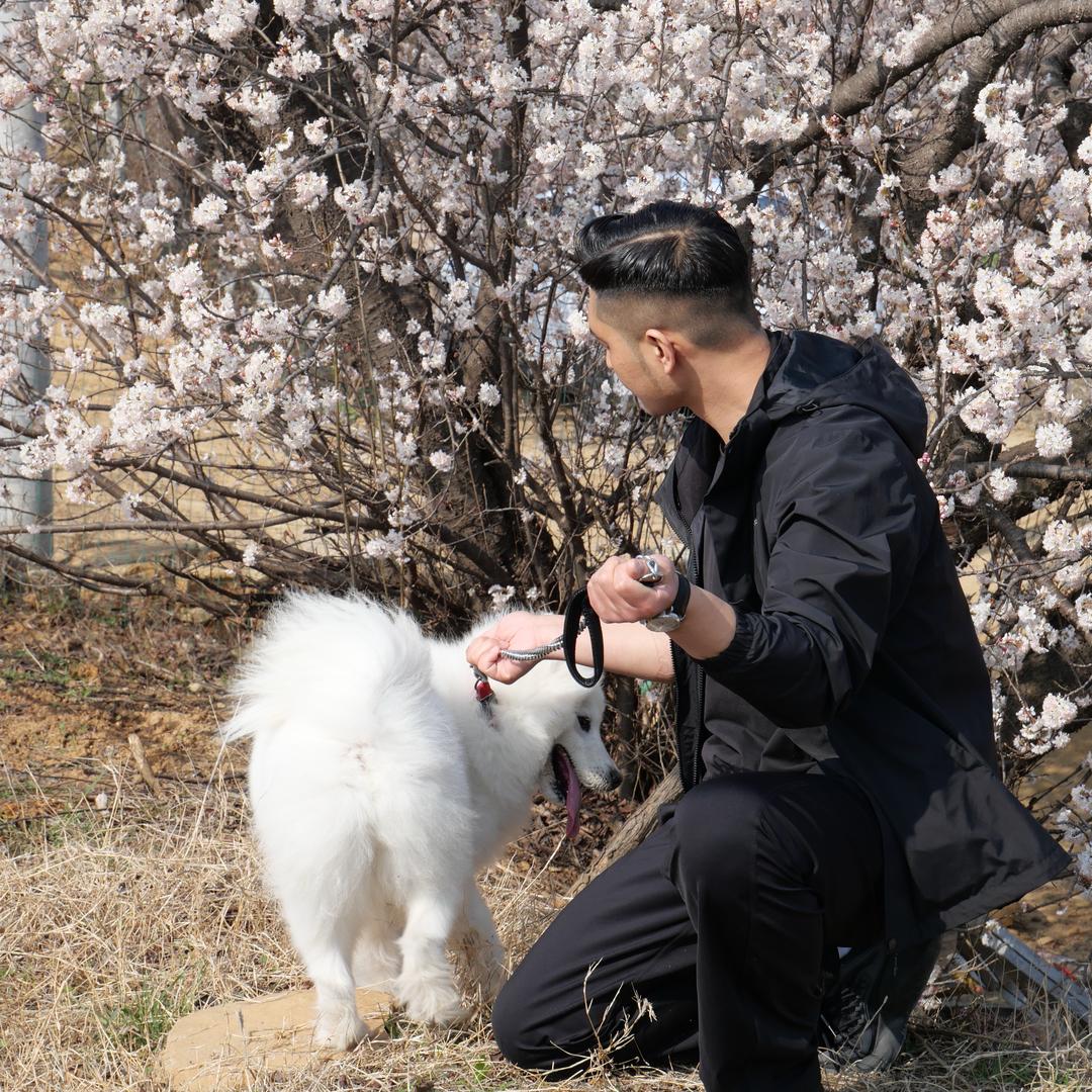 就这样啊