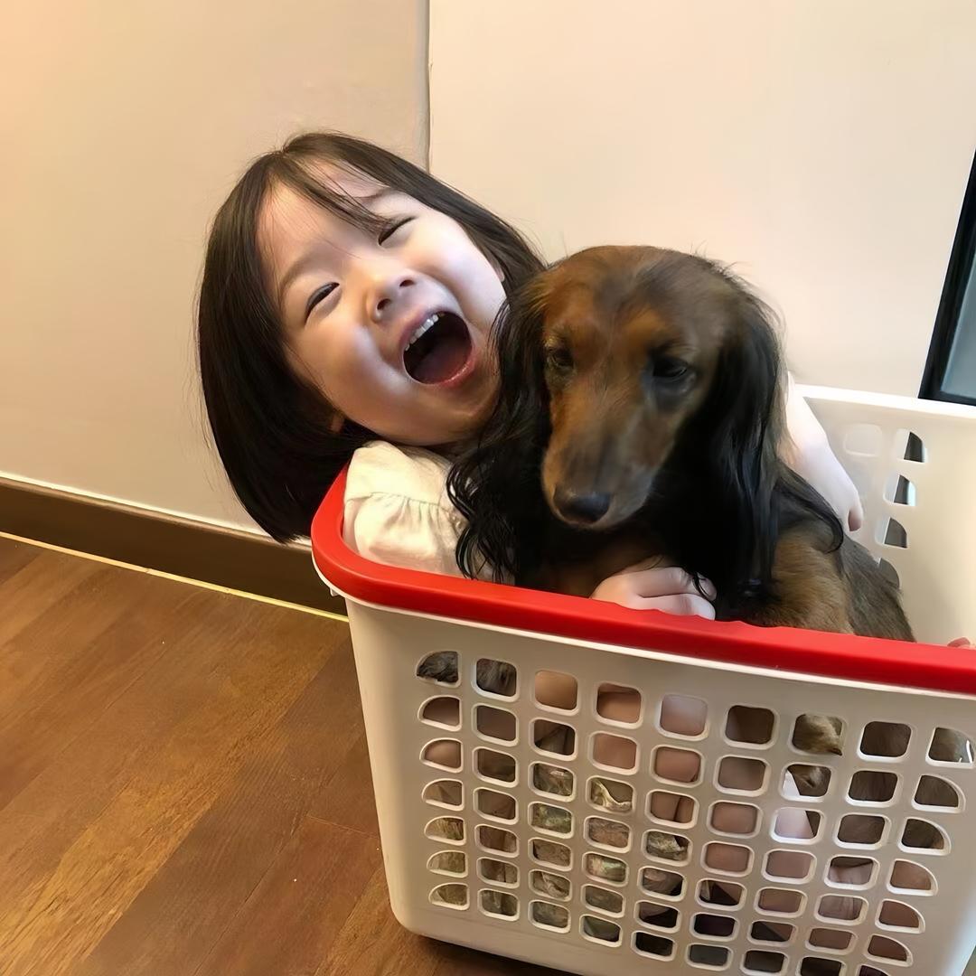 欣欣ii
