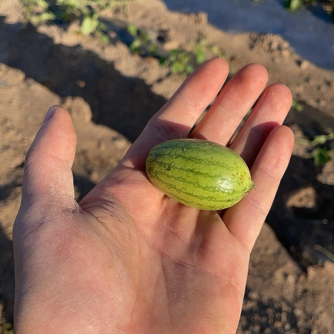 农神社谷（山东）农业有限公司
