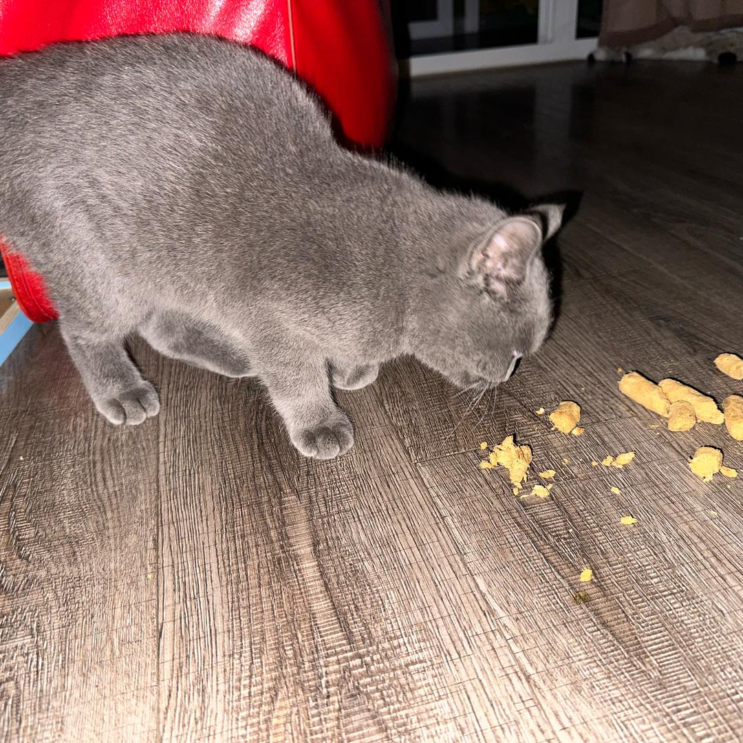 热爱生活的80后美女