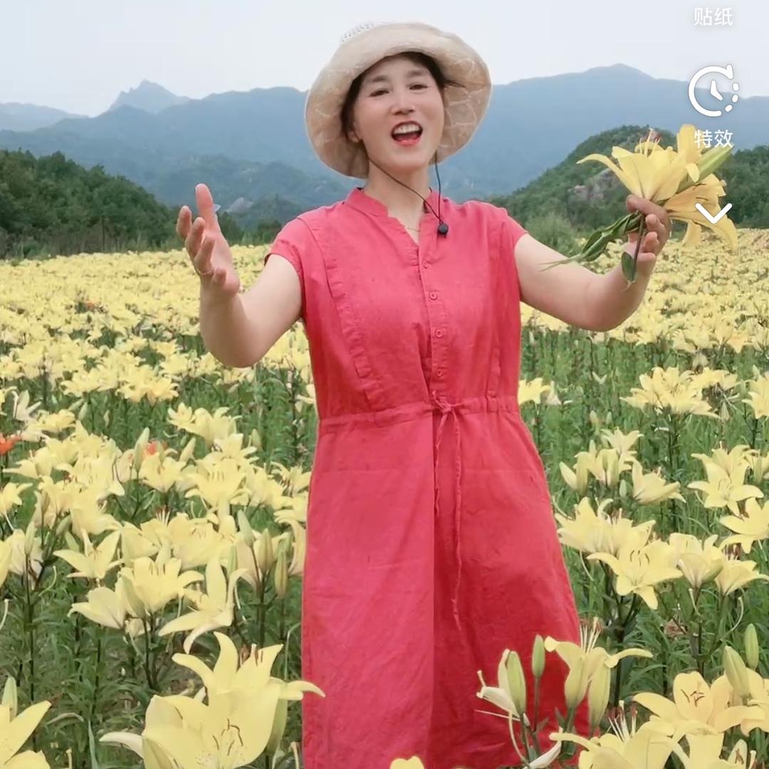 燕归来
