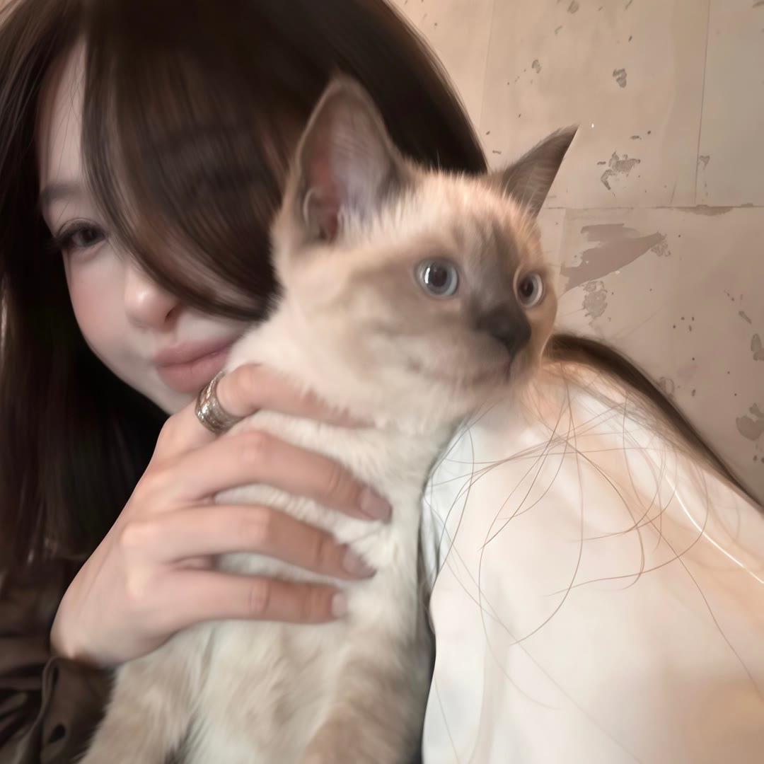 遥控猫