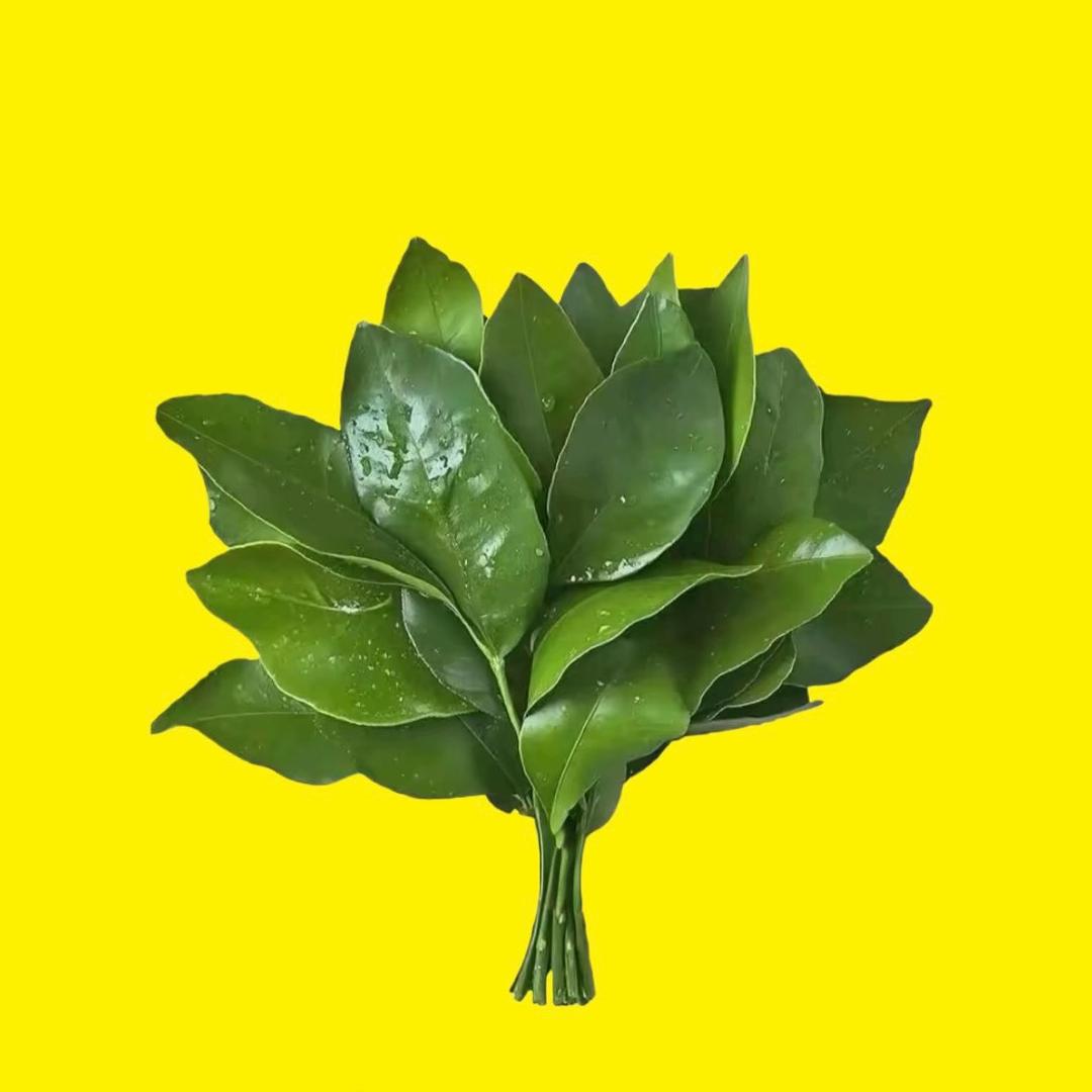 好运来✌️