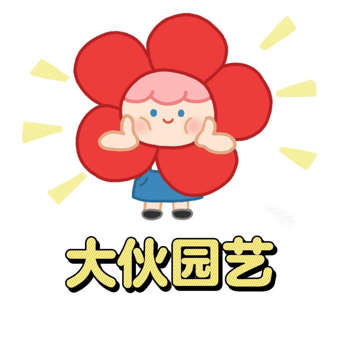 大伙园艺🌻