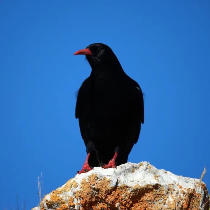 1376