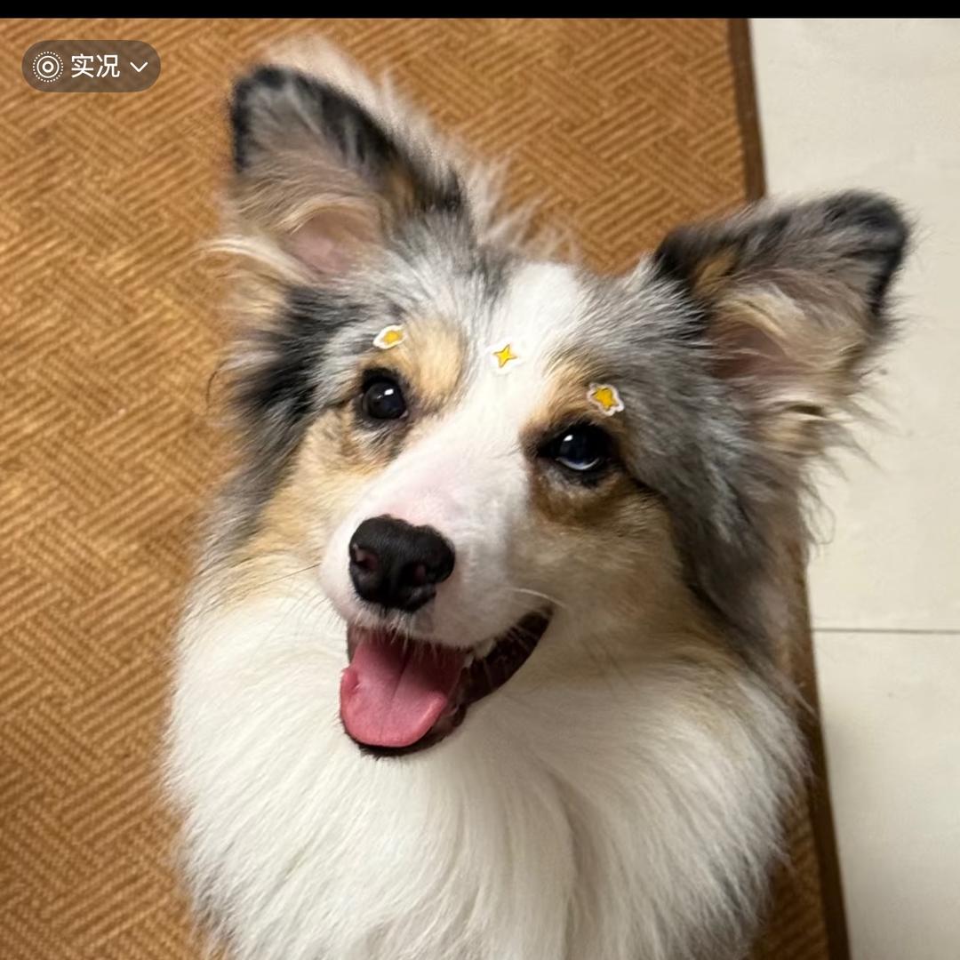 阴沟里的大番薯