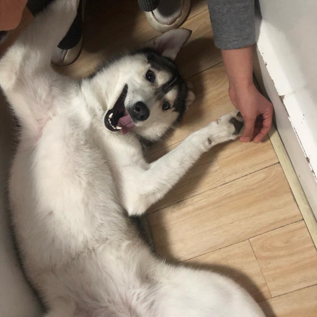 嗨C山西麻辣拌（淮安）