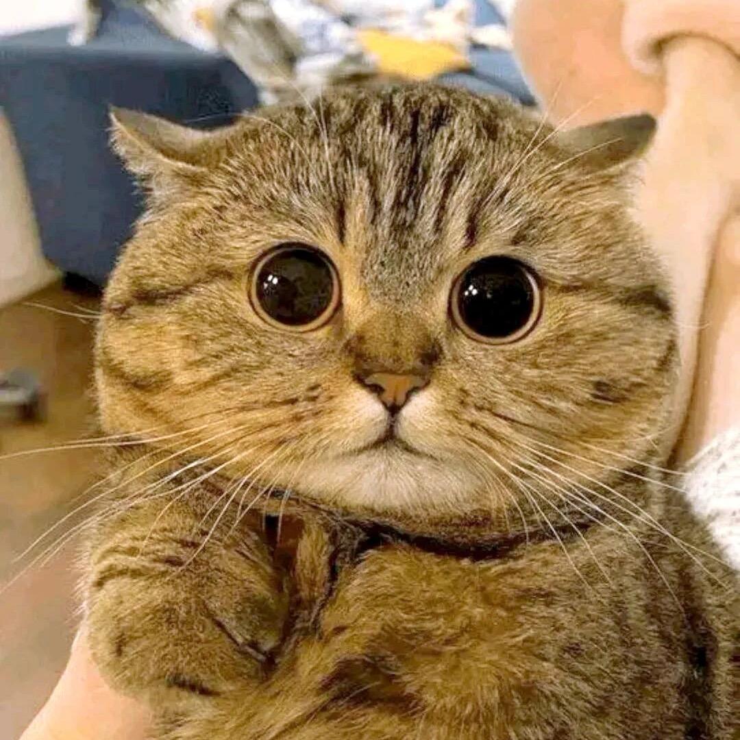 八岁离异带俩娃