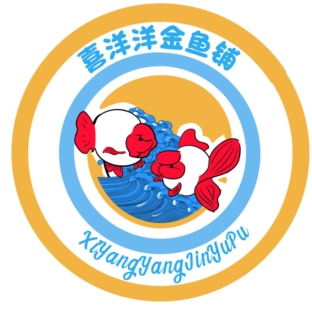洋洋洋金鱼铺