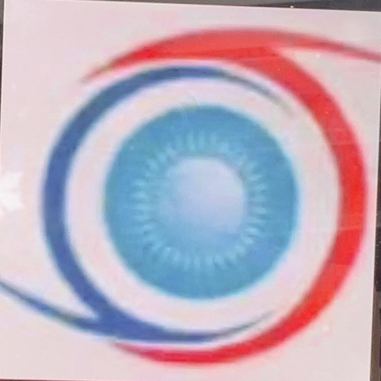 巢视眼