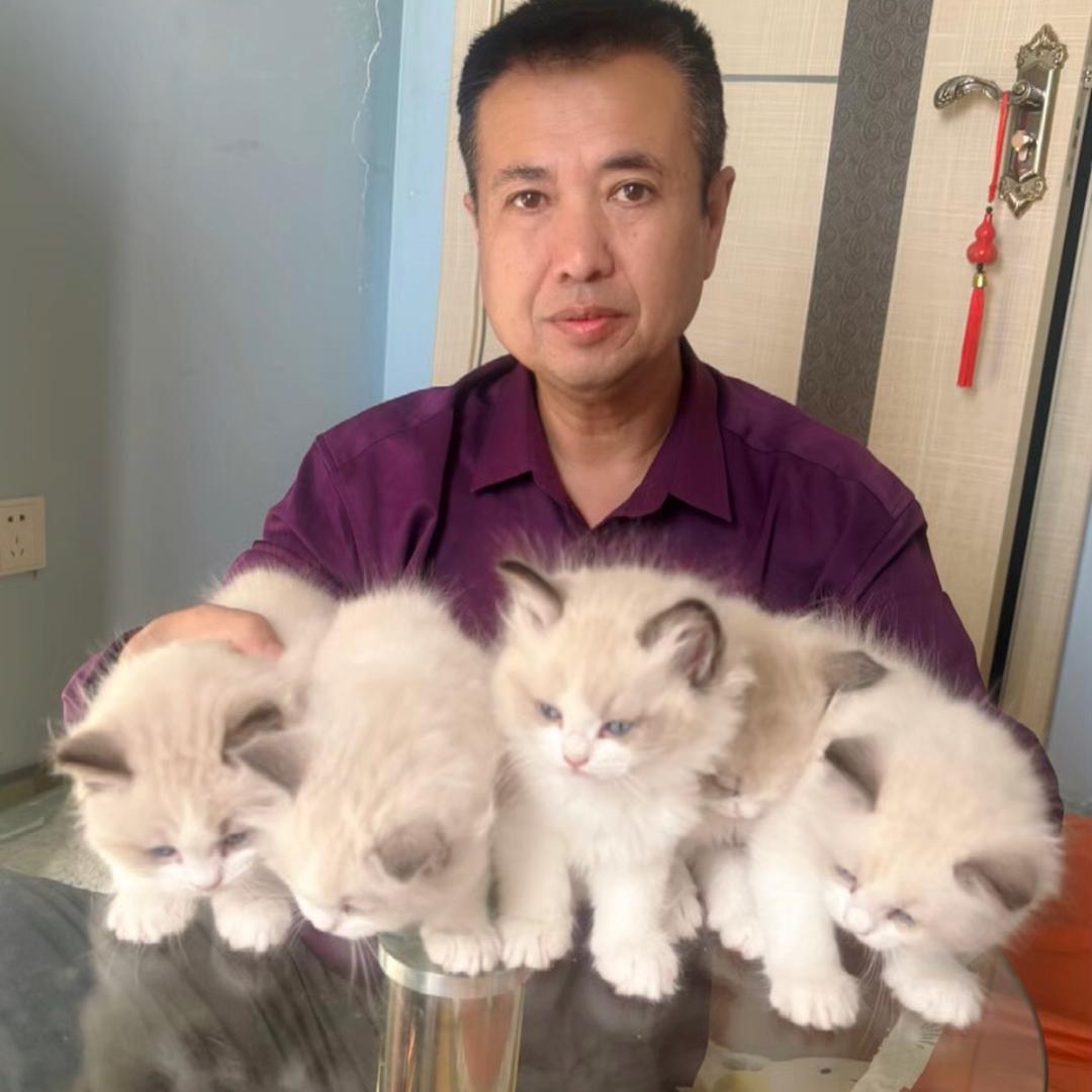 东北老铁猫砂猫粮铺