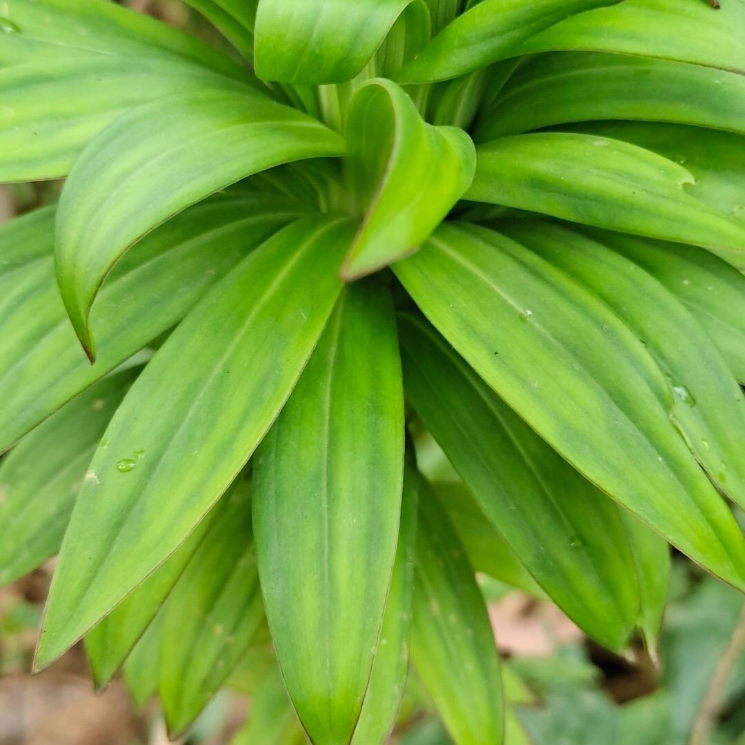 练