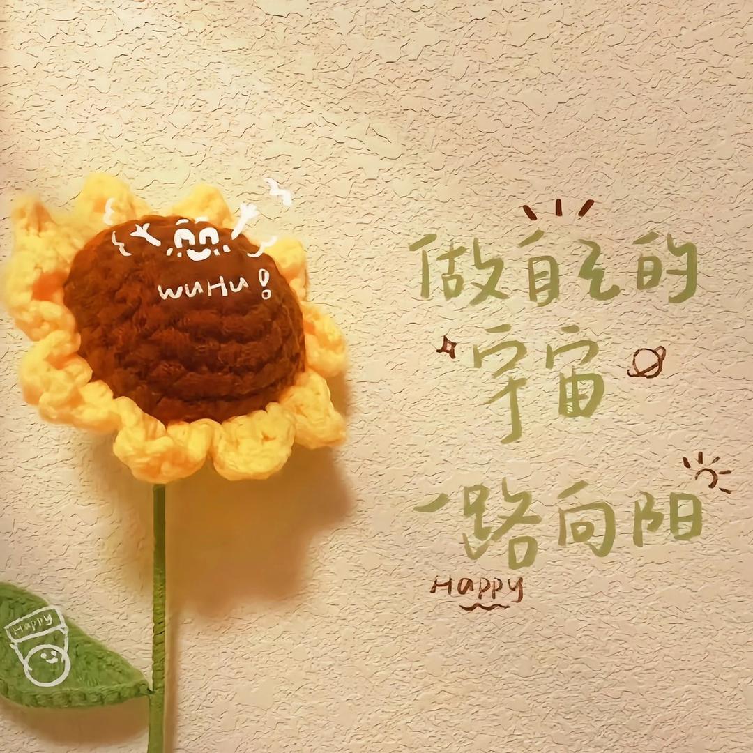 宁栀好物