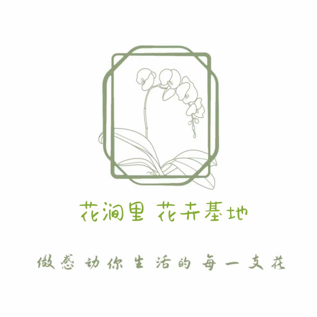 九杯水