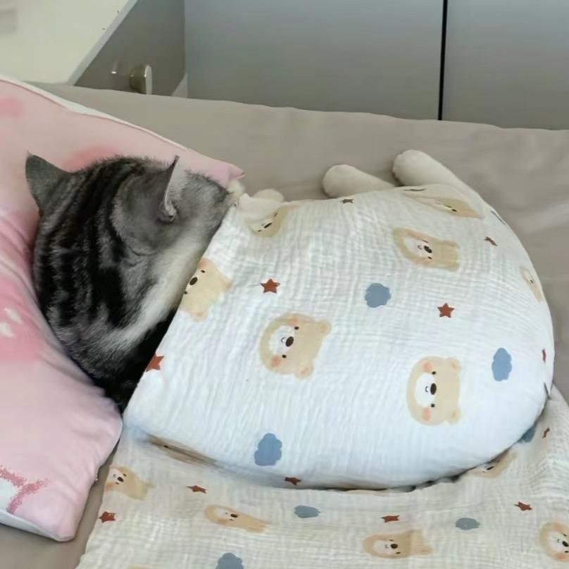 柒