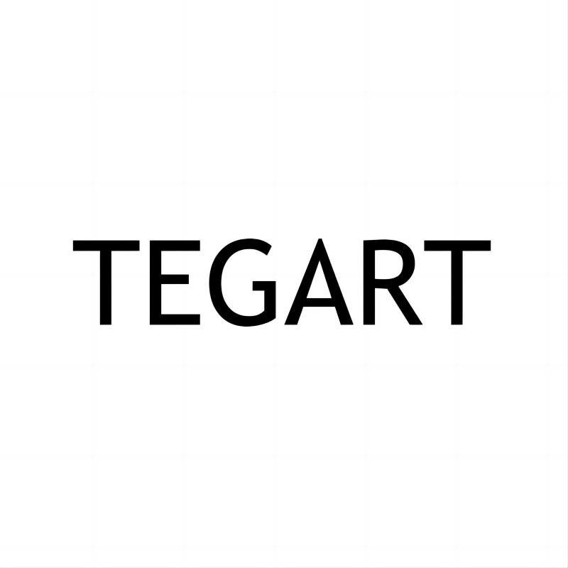 Tegart汽车用品店