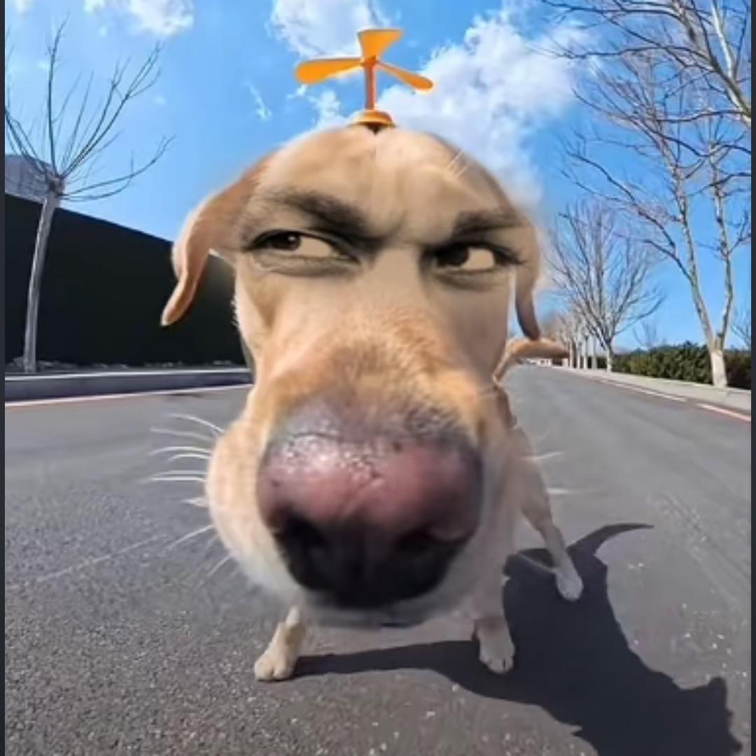 会飞的林肯