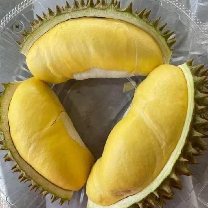 金华水果批发市场-水果王子