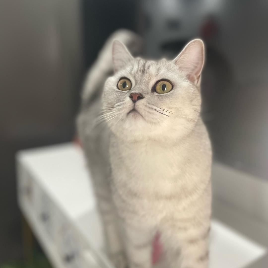 小幸运💍❤️😘