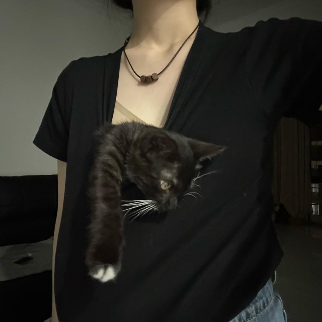七仔和多米