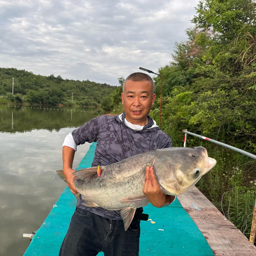 霍山月儿湖巨物鲢钓场