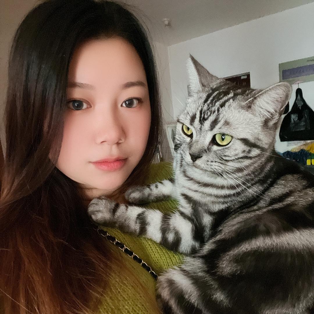 晒太阳的小元宝头像