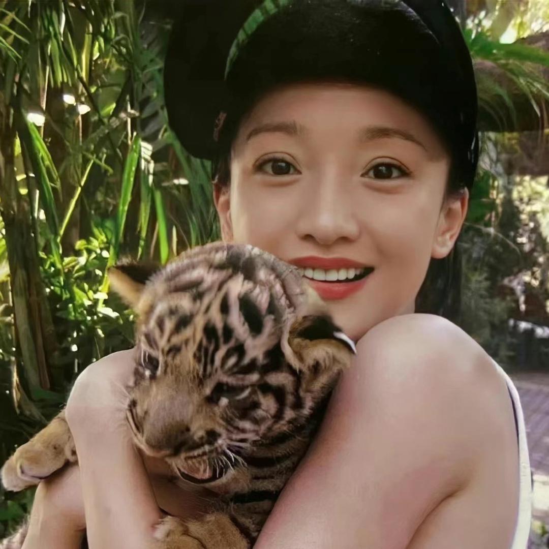 谢谢小猫、