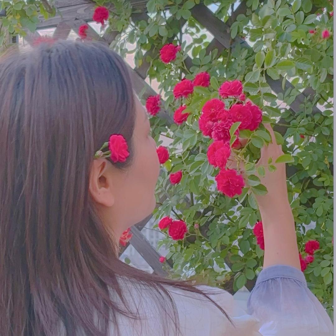 玲 芯