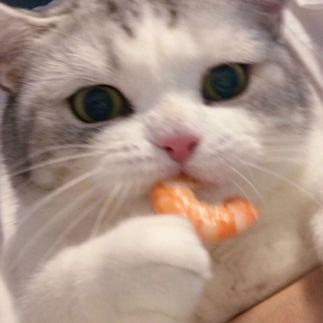 LLr（无畏契约）