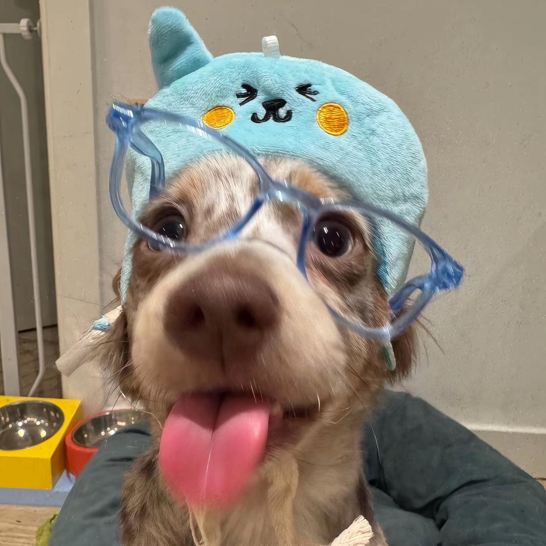 ꧁༺HB老子喜欢你༻꧂