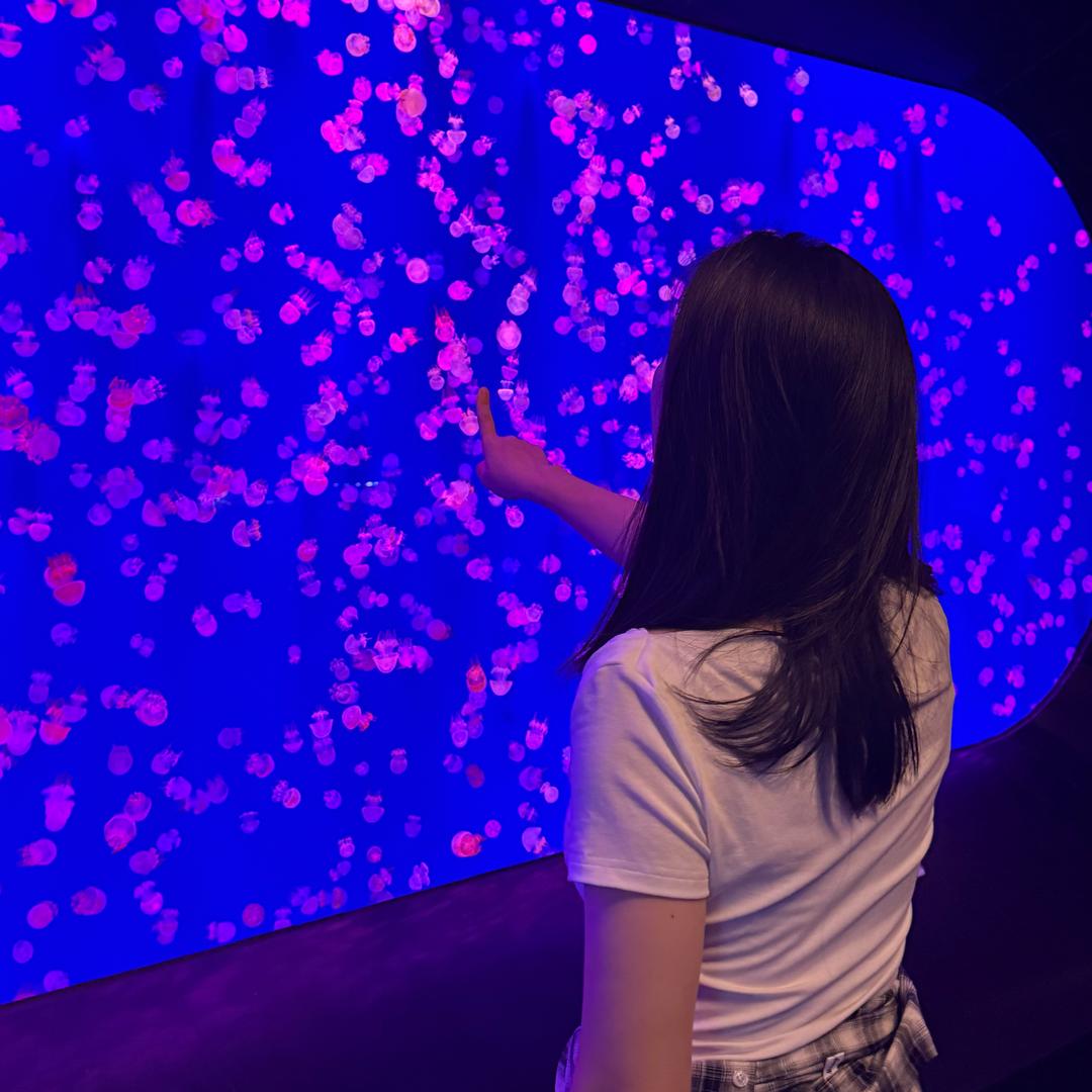 最爱雨🌧️眠🥕