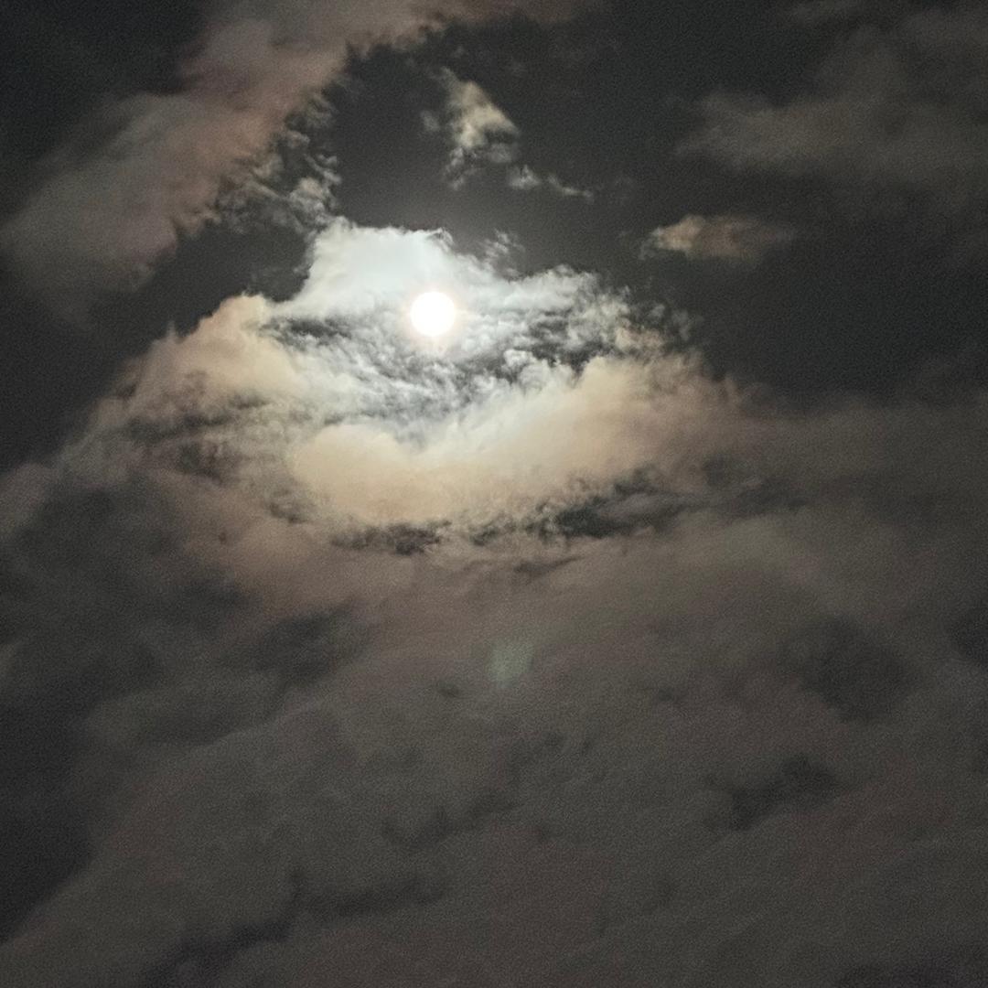 🌈用海龟十年