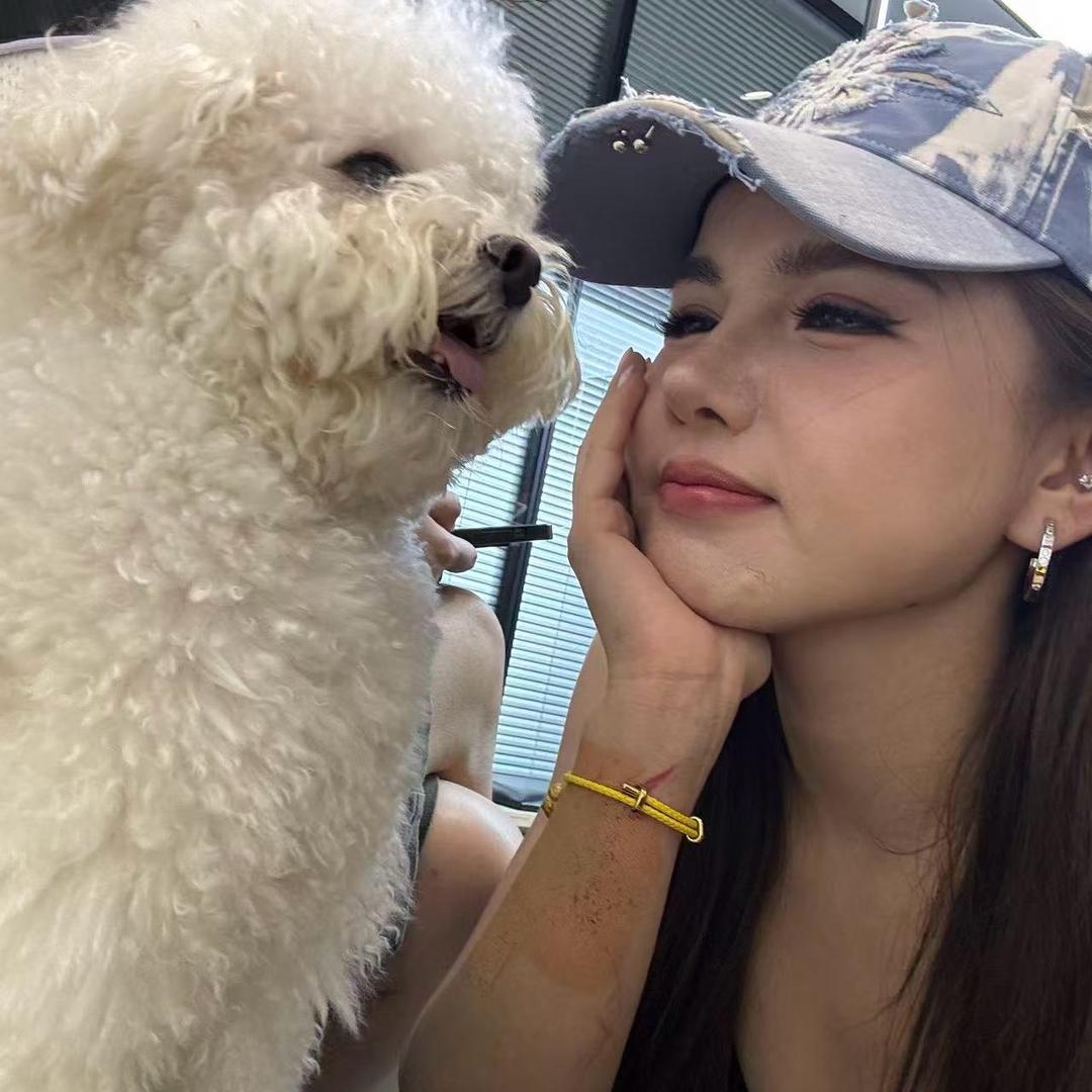 猫女林的收藏夹