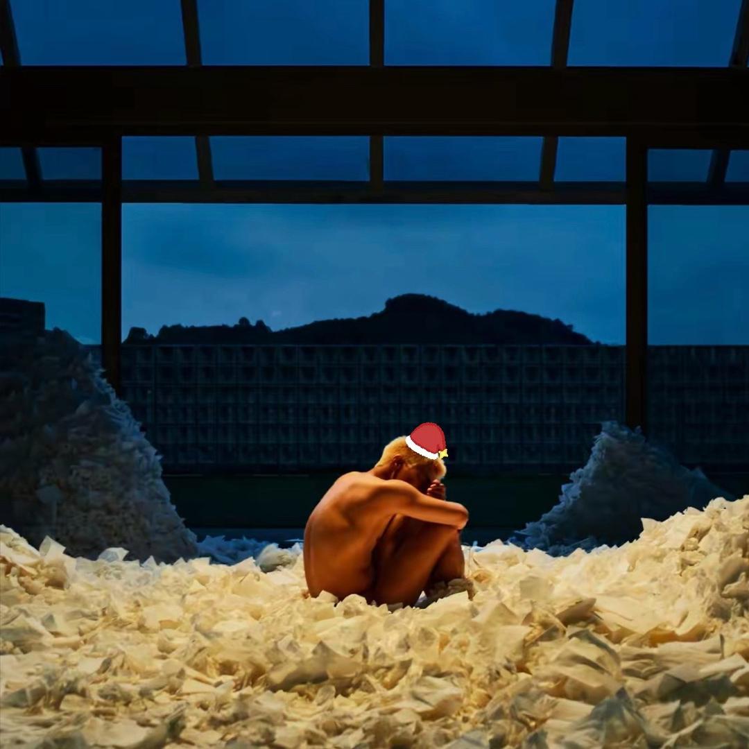 󠀀󠀀Fish（APEX)