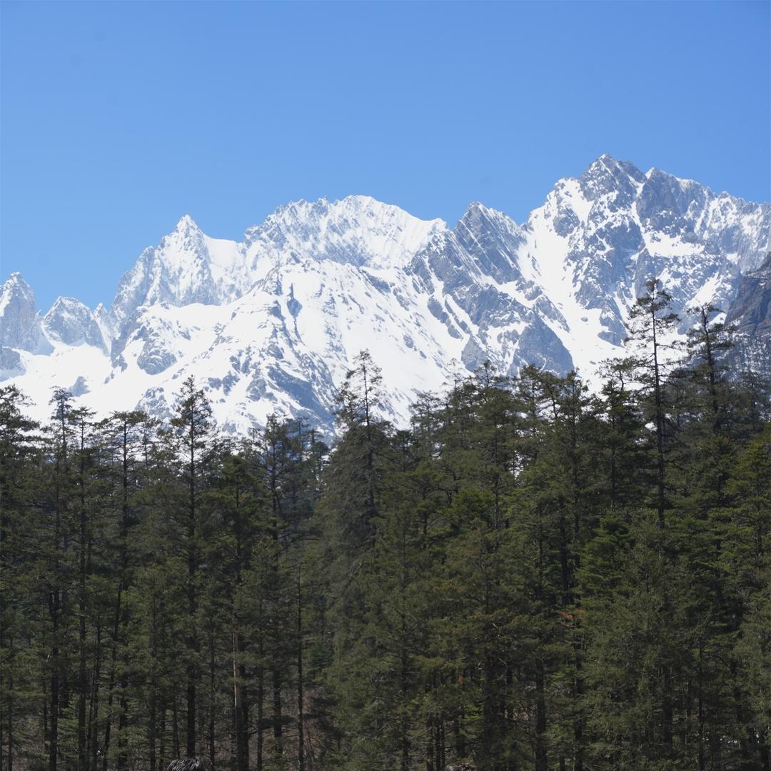 别叫我小柯