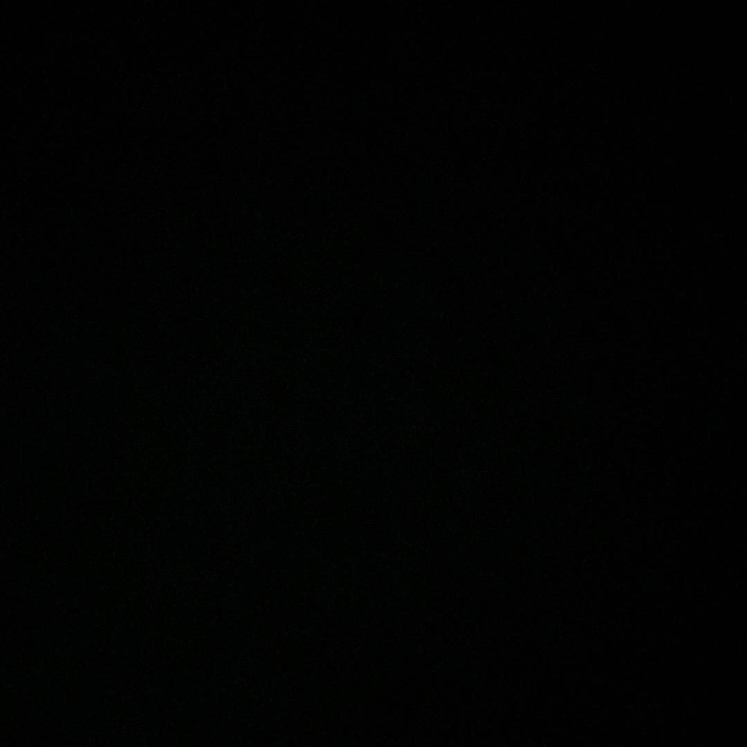 Luis11301221