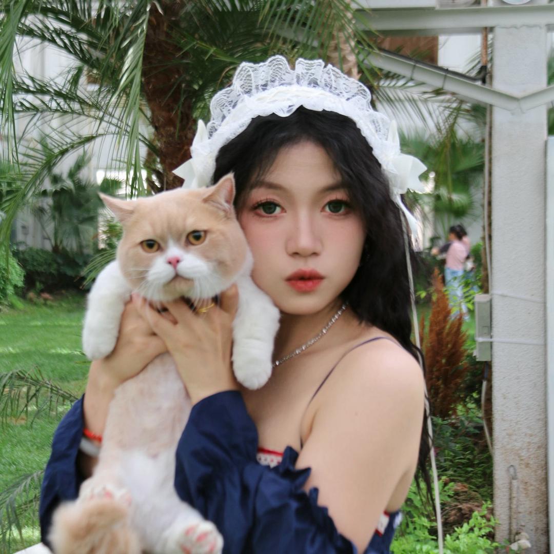 芮辰