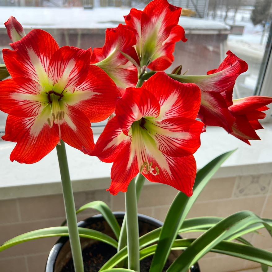 秀蒂千姿（蛟河长安店）