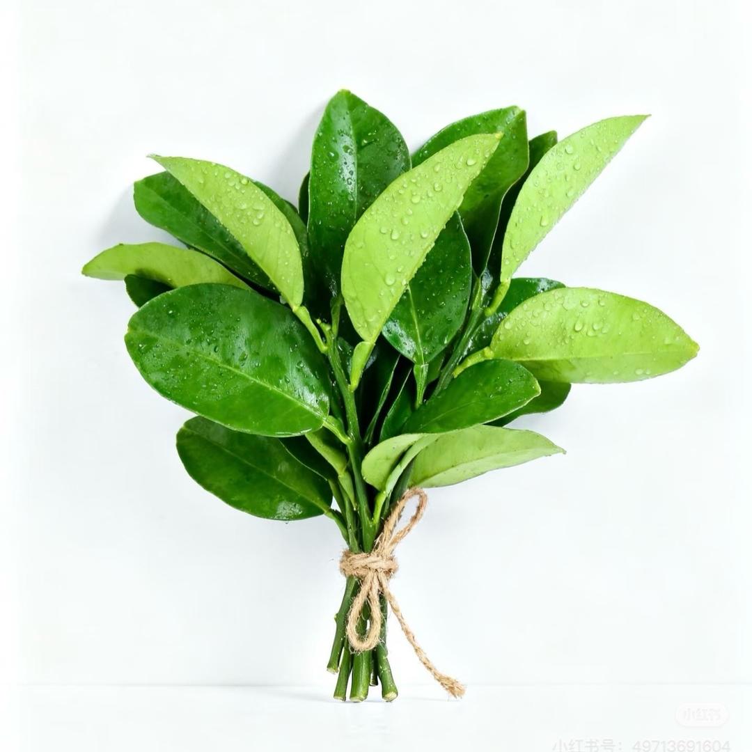 每日好物小推荐