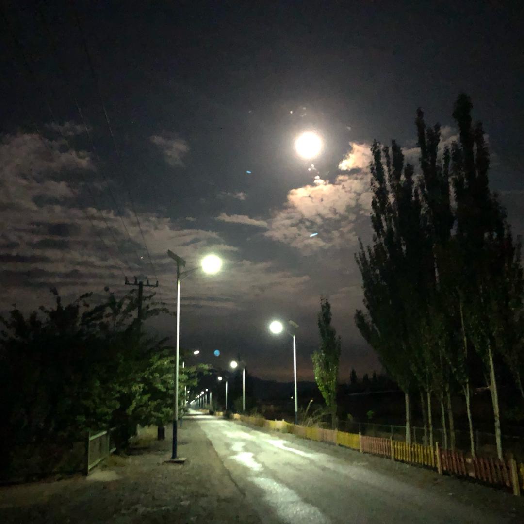 陌路