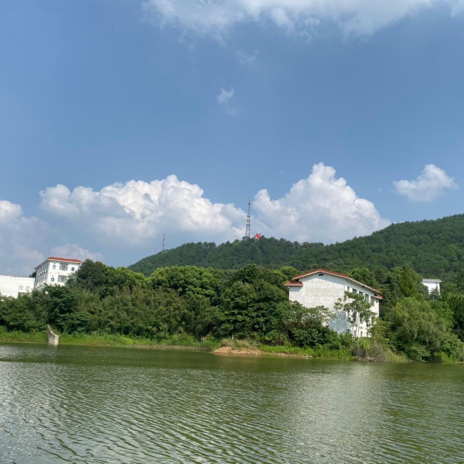 风景园林景观设计及施工