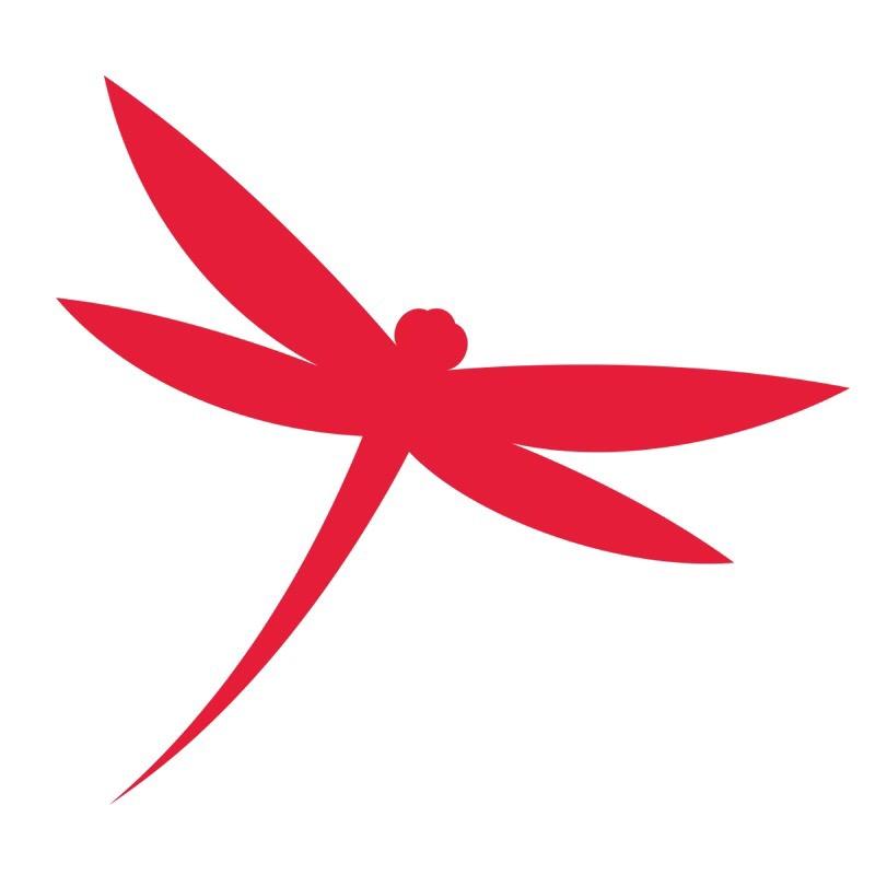 红蜻蜓REDDRAGONFLY荣少专卖店