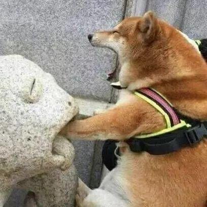 我爱呼吸