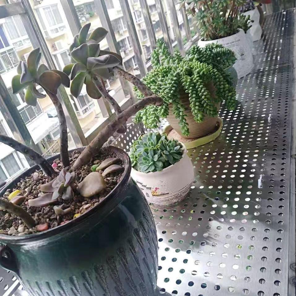 宏途优品