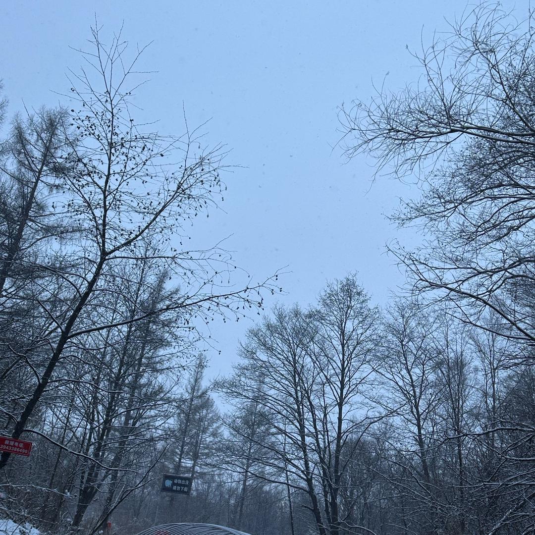 东东爱看球