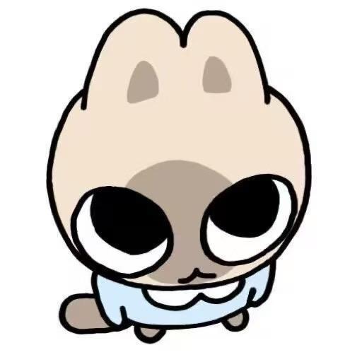 什么泽