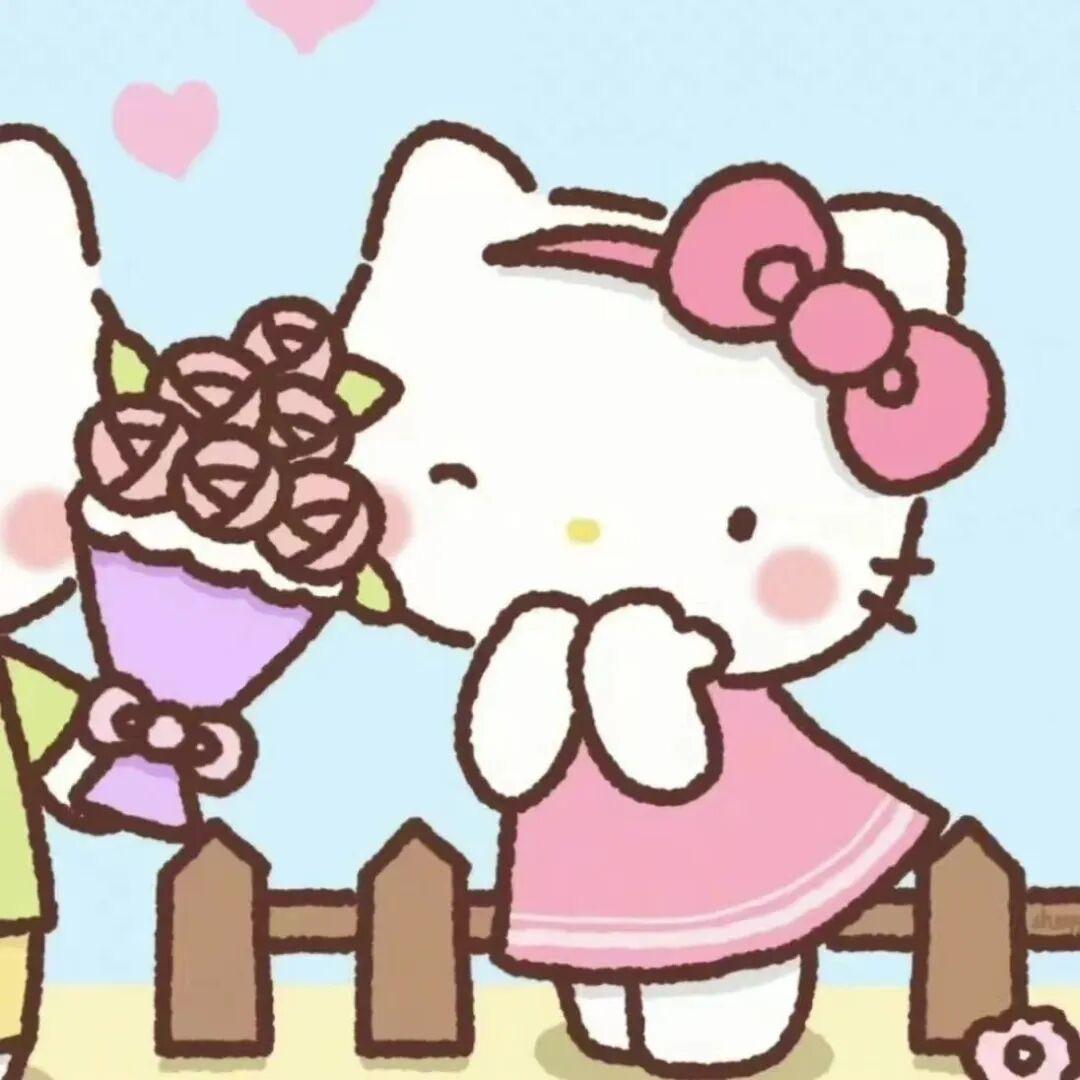 我的脸太圆了🥕