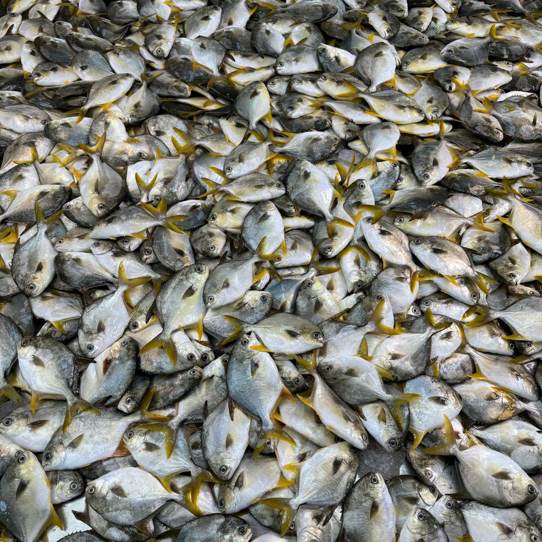 湛江阿妹海鲜