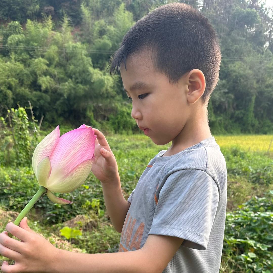 小🍋轩